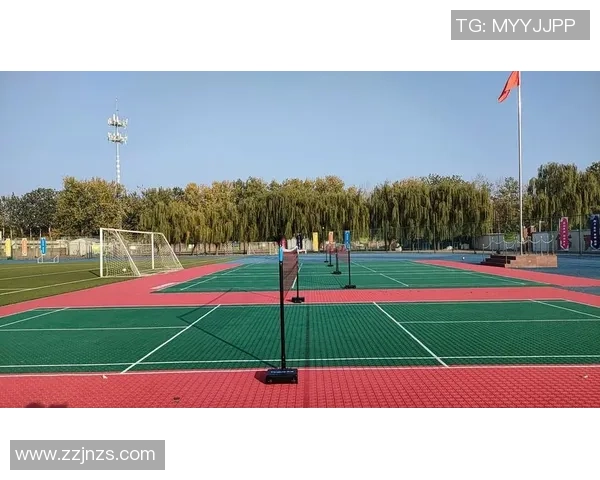 羽毛球状态排行榜揭晓北京羽毛球队荣登榜首引发热议